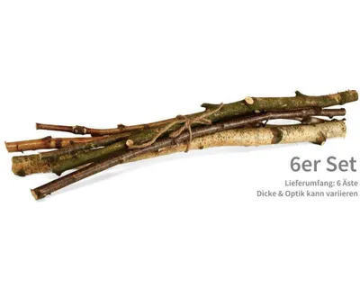 Image de Branches décoratives Bouleau Longueur 50 cm Lot de 6