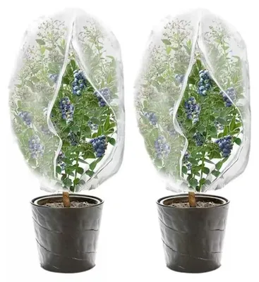 Imagen del producto de Red de protección para árboles frutales, de malla fina, 195 x 200 cm, con cremallera, para uso en exteriores