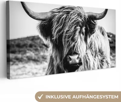Produktbild von MuchoWow® - Leinwandbilder - Schottischer Highlander - Natur - Kuh - Schwarz - Weiß, Wandbild, Wanddeko Bilder Wohnzimmer, 80x40 cm