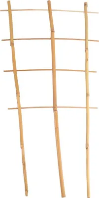 Image de BURI Bambus Spalier 60cm Support pour fleurs Support pour plantes en pots