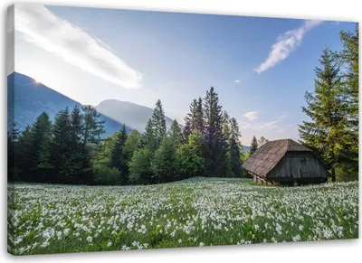 Produktbild von Leinwandbild holzhaus zwischen den bäumen 90x60 cm Feeby blau wandbild bereit zum aufhängen