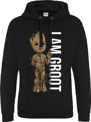 Immagine prodotto di Io sono Groot - Profilo - Felpa con cappuccio L