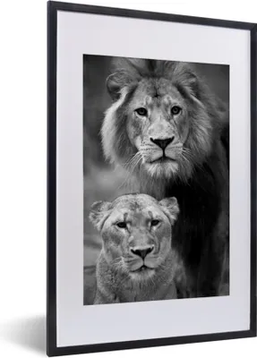 Produktbild von MuchoWow® MuchoWow® Gerahmtes Poster Porträt eines Löwen und einer Löwin - schwarz und weiß 40x60 cm - Poster mit zchwarzem Bilderrahmen - Poster in Rahmen
