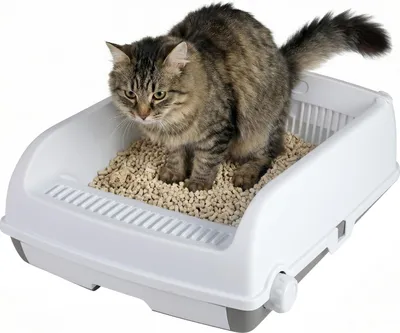 Obrázek produktu pro COSTWAY Otevřená kočičí toaleta, kočičí toaleta s vysokým okrajem, Cat Litter Box s výsuvným podnosem a posuvnou lopatkou, pro kočky do 10 kg, z PP, bílá