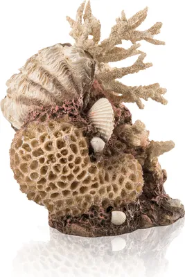 Obrázek produktu pro biOrb coral-shells ornament natural