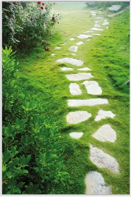 Produktbild von Wallario Wandbild Steinweg im Grünen, Größe: 61 x 91,50 cm, Poster mit weißem Aluminiumrahmen