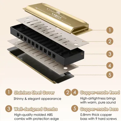 Diatonische Blues Harmonica in C, Hauptbild