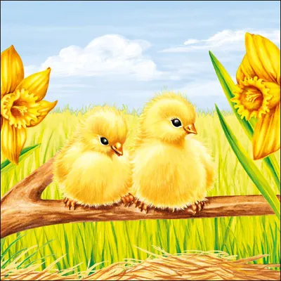 Produktbild von Ostern - Servietten Lunch – Napkin Lunch – Format: 33 x 33 cm –