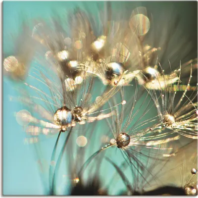 Produktbild von Julia Delgado: Pusteblume glänzendes Gold, Produkt:Leinwand, Größe (HxB):40x40 cm / Leinwand