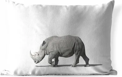 Produktbild von MuchoWow® Outdoor Kissen - Rhinozeros - Tiere - Weiß - 50x30 cm - Wetterfest - Lounge Kissen - Sofa kissen - Wohnzimmer Dekoration