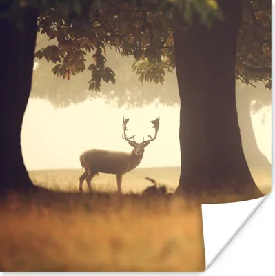 Produktbild von MuchoWow® Poster Hirsche - Bäume - Wald 30x30 cm - Wandposter - Printing