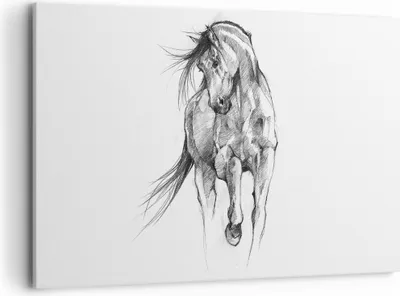 Produktbild von Bild auf Leinwand - Leinwandbild - Einteilig - Pferd Galopp Tier - 120x80cm - Wand Bild - Wanddeko - Wandbilder - Leinwanddruck - Bilder - Wanddekoration - Leinwand bilder - Wandbild - AA120x80-5080