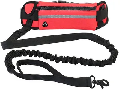 Image de Collier réfléchissant pour chiens, laisse rétractable de sécurité pour l'extérieur, laisse de sécurité anti-éclatement pour chiens.