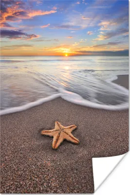 Produktbild von MuchoWow® Poster Seestern - Meer - Sonne 80x120 cm - Papierdruck