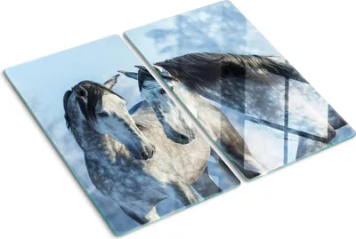 Immagine prodotto di Copertura per piano cottura – Copertura per piano a induzione – Piano di vetro protettivo – 2x30x52 cm – Piani di vetro protettivi per fornelli – Vetro temperato – Cavalli grigi in inverno