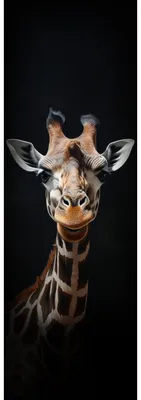 Image de Tableau sur toile portrait girafe 30x97 cm, Tableau mural moderne pour décoration intérieure