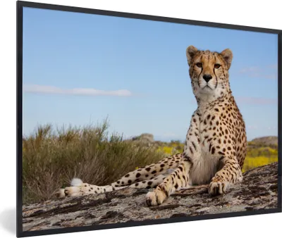 Produktbild von MuchoWow® Gerahmtes Poster Leopard - Tiere - Natur 90x60 cm - Poster mit Schwarzem Bilderrahmen Wandposter Rahmen Foto Bilder - Fotorahmen - Foto-Plakat