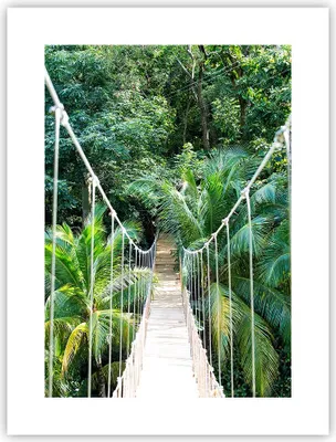 Produktbild von Poster - Poster ohne Rahmen - Tropen Dschungel Brücke - 30x40 cm - Wand Bild - Wanddeko - Wandbilder - Kunstposter - Wandposter - Bilder - Kunstdruck - Wanddekoration - Wandbild - P2XPA30x40-4963