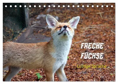 Produktbild von Freche Füchse - lustige Sprüche (Tischkalender 2027 DIN A5 quer), CALVENDO Monatskalender