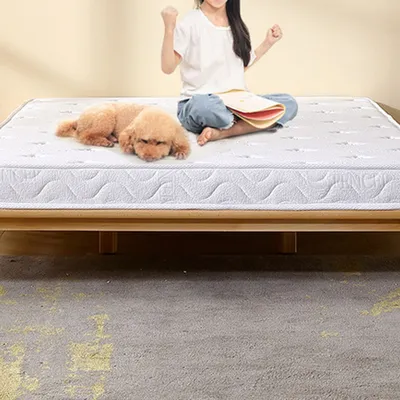 Produktbild von 360Home Haushaltsmatratze Doppelseitig, Matratze Kleberfrei, Größe 15*150*200cm