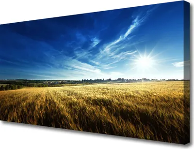 Produktbild von Tulup Leinwand-Bilder 100x50 Wandbild Canvas Kunstdruck Acker Himmel Natur