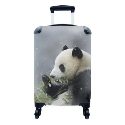 Produktbild von MuchoWow® Koffer Handgepäck Trolley Rollkoffer Kleine Reisekoffer mit 4 Rollen - Panda - Bambus - Schnee - Cabin Size < 55x40x23 cm & 55x40x20 cm - Fotokoffer - Kabinenkoffer - Boardgepäck - Reise-Box - Reisekoffer - Reisegepäck - Koffer mit Bild - Trolley für Kinder
