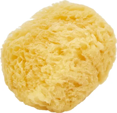 Image de BETER Eponge de bain marine naturelle 1 pièce