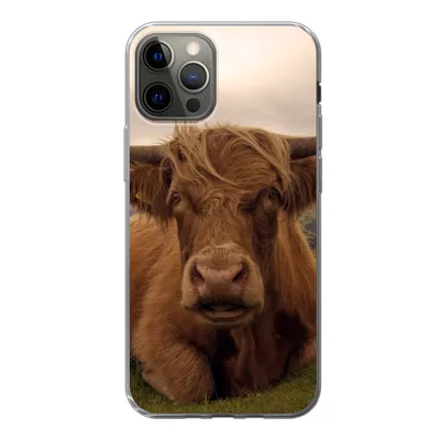 Produktbild von MuchoWow® Handyhülle Schutzhülle Hülle für iPhone 13 Pro Schottischer Highlander - Tiere - Berg Silikon Softcase Handy Hülle - Handy-Tasche