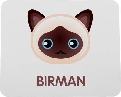Productafbeelding van Birmaan onderzetter met kat Art-Dog