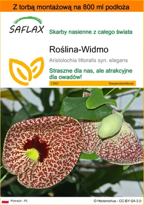 Zdjęcie produktu dla SAFLAX - Garden in the bag - Roślina-Widmo - 80 Nasiona - Z podłożem uprawowym w praktycznej, samorozkładającej się torbie - Aristolochia littoralis syn. elegans