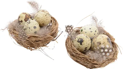 osterdeko frühlingsdeko osterkorb osterkörbe tischdeko frühling ostern osterkörbchen osternest vögelnester deko korb klein vogeleier