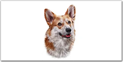 Produktbild von Coloray Bild aus Leinwand 140x70 Leinwand Dekoration - Haustier Hund
