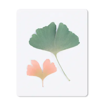 Produktbild von MuchoWow® Mauspad Mousepad Blätter - Grün - Orange - Natur 30x40 cm - Mousepads - Maus Mat - Pad - Mausunterlage - Mausmatten