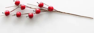 Produktbild von ASA großer Apfelzweig rot L.52 cm Deko