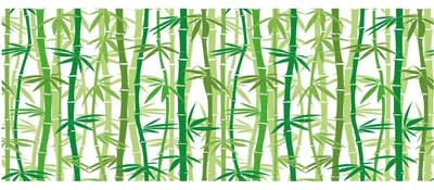 Produktbild von Sichtschutzfolie für Fenster – Bambus – Selbstklebende Fensterfolie für Fenster und Duschtüren – 40 x 100 cm