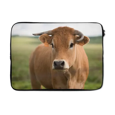 Produktbild von MuchoWow® Laptop Hülle 13 Zoll Kuh - Horn - Porträt Laptoptasche - Laptophülle - Sleeve - Rundumschutz