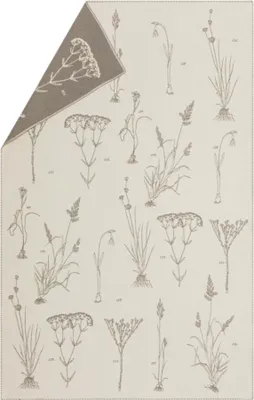 Produktbild von Leichte Baumwolldecke Herbarium Farbe Rohweiß 145x220cm von David Fussenegger