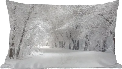 Produktbild von MuchoWow® Zierkissen Sofakissen Wohnzimmer Dekokissen 60x40 cm Bäume - Schnee - Winter - Kopfkissen - Polster mit Foto