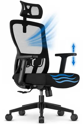 Produktbild von HOOLAMYIE Bürostuhl ergonomisch bis 200 kg, Schreibtischstuhl mit Kopfstütze und Lordosenstütze für Homeoffice und Büro