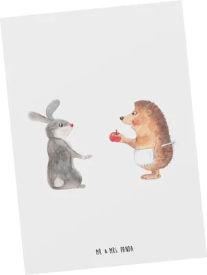 Produktbild von Mr. & Mrs. Panda Postkarte Hase Igel - Weiß - Geschenk, und, Lustige Sprüche, Ansichtskarte, Fotokarte, Trösten, Postkarten, Grußkarte, Trennungsschmerz, Herzschmerz