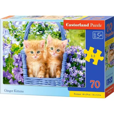 Obrázek produktu pro CASTORLAND Puzzle 70 dílků - Zrzavá koťata