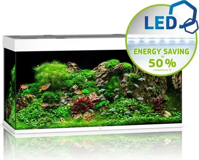 Produktbild von Juwel Rio 350 LED weiß - Aquarium Juwel