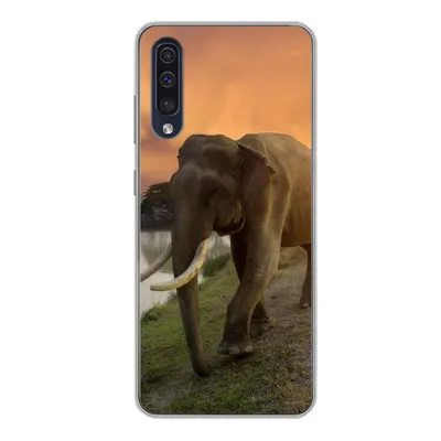 Produktbild von MuchoWow® Handyhülle Schutzhülle Hülle für Samsung Galaxy A50 Elefant - Wasser - Tiere - Sonnenuntergang - Natur Silikon Softcase Handy Hülle - Mobiltelefonhülle