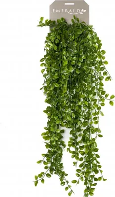 Productafbeelding van Seidenpflanze hängend am Cutter Ficus Pumila Kunstpflanze Kollektion Driesprong