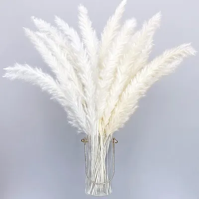 Zdjęcie produktu dla 30 Sztuk Białych Suszonych Traw Pampasowych 40 cm, Naturalna Dekoracja Boho, do Wazonów, Ślubów