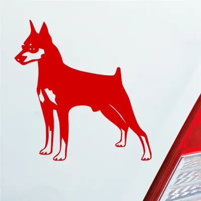 Produktbild von Auto Aufkleber Zwergpinscher Hund Dog Animal 10x10 cm Rot Sticker Heckscheibenaufkleber
