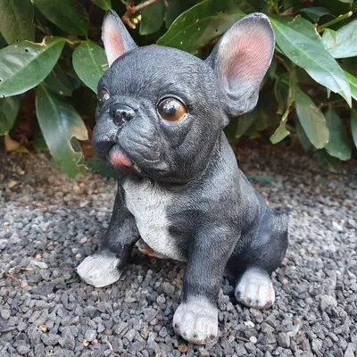 Obrázek produktu pro Zahradní figurka Francouzský buldok, sedící, 18 cm