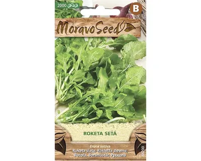 Produktbild von Rucola Samen für den Anbau in Töpfen