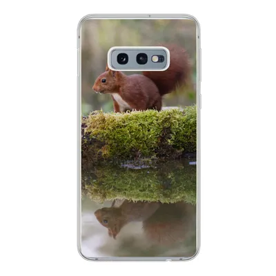 Produktbild von MuchoWow® Handyhülle Schutzhülle Hülle für Samsung Galaxy S10e Waldtiere - Wasser - Moos Silikon Softcase Handy Hülle - Handy