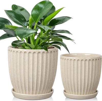 Produktbild von Keramische Pflanzentöpfe 13-15cm beige mit Drainage für Sukkulente